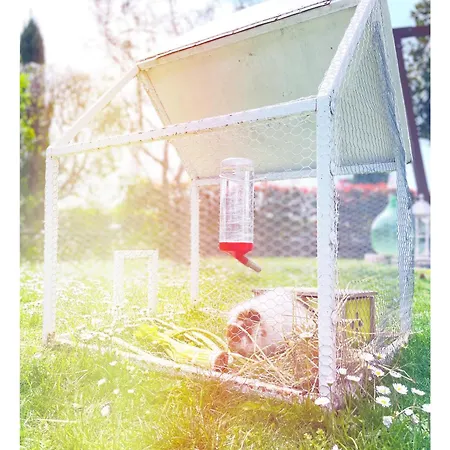 Panzió Dolce Olga 4*