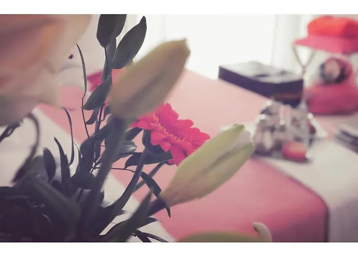 Dolce Olga Bed and Breakfast Πεσκιέρα ντελ Γκάρντα