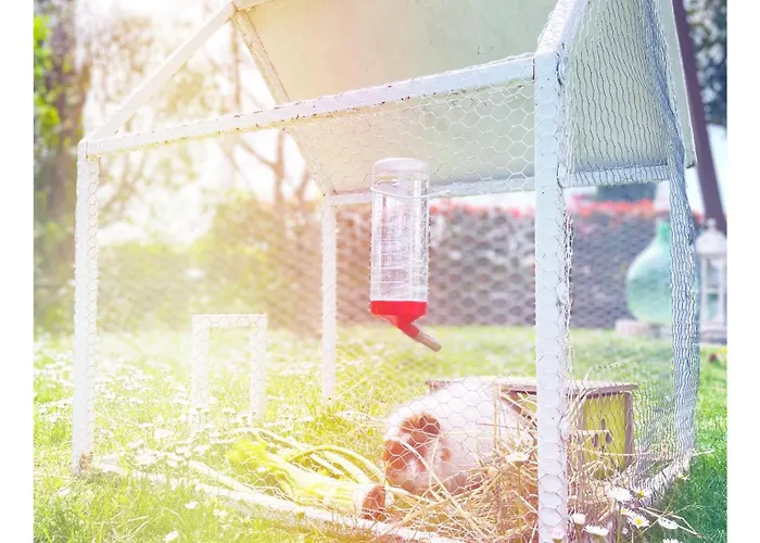 Bed and Breakfast Dolce Olga 4*